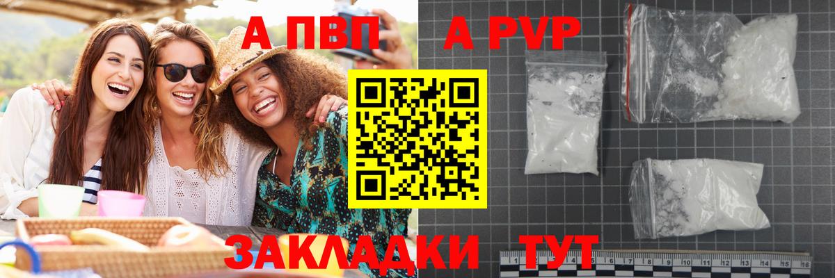 Alfa_PVP СК КРИС Нальчик