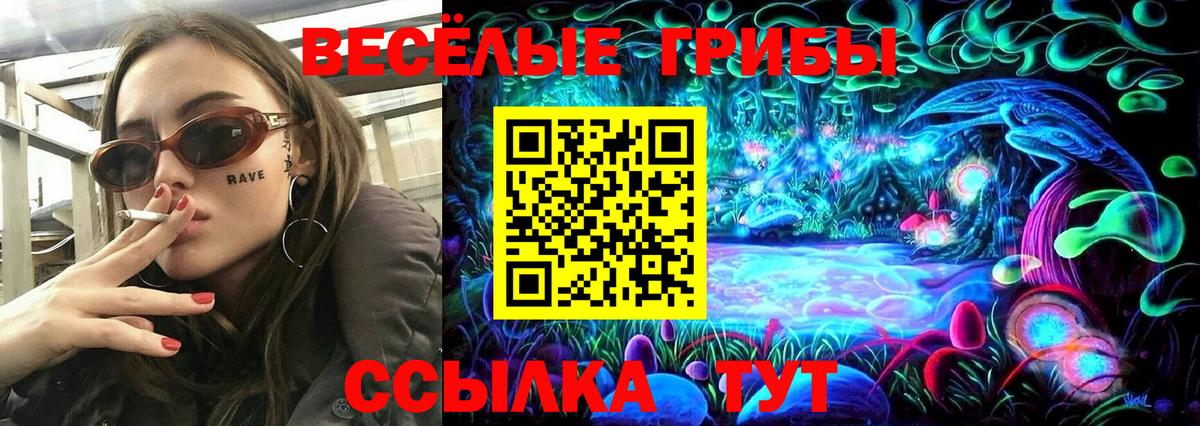 Галлюциногенные грибы мицелий  Вход с VPN  Нальчик 