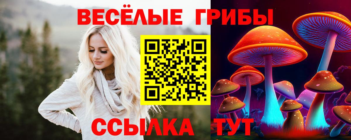 Псилоцибиновые грибы MAGIC MUSHROOMS Нальчик